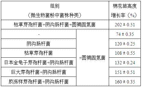 A kind of bioactive organic fertilizer special for cotton and its application