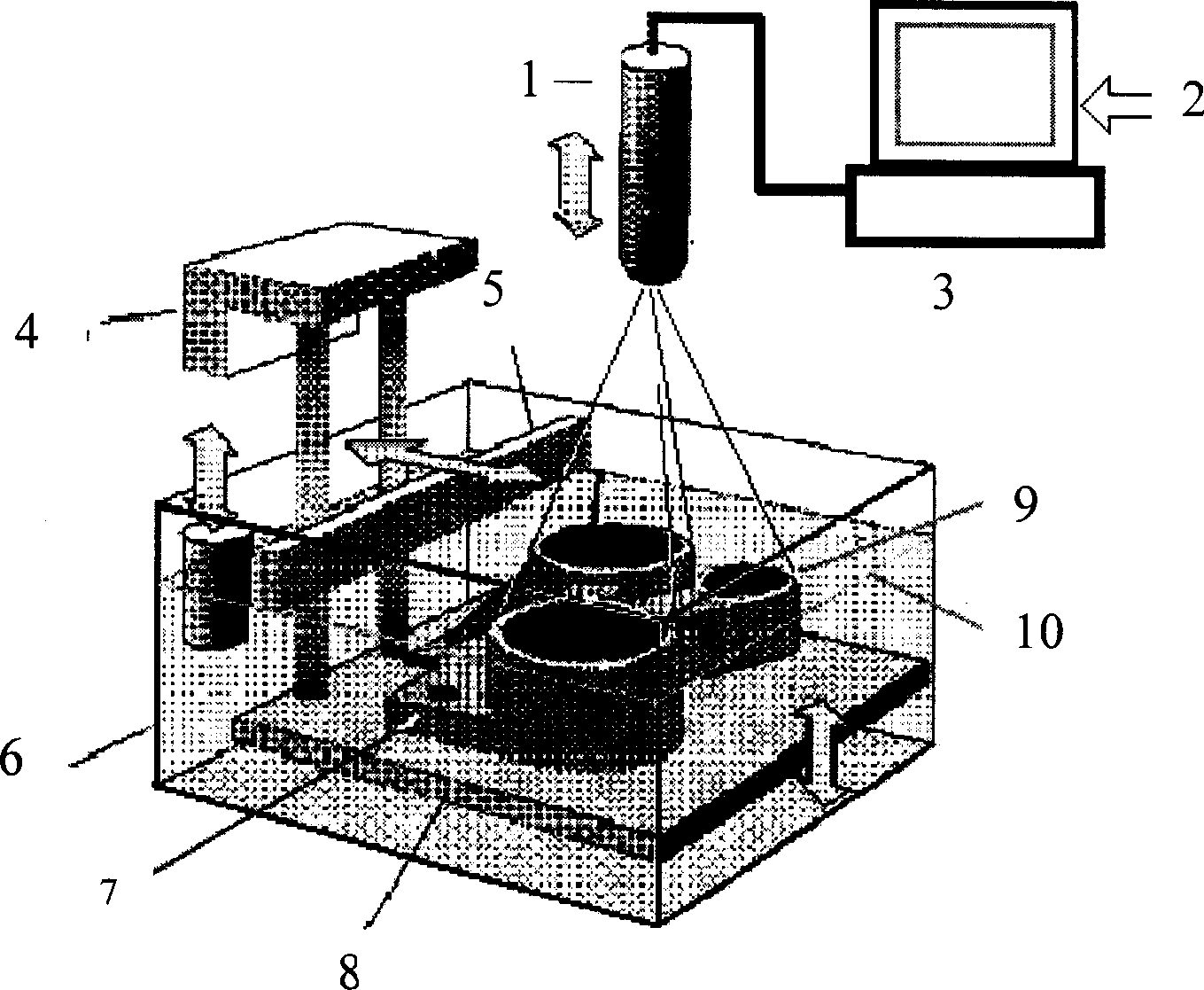 Quick forming method by adoption of projection technique