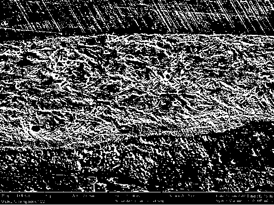 A method for producing large-width and large-area stainless steel composite panels