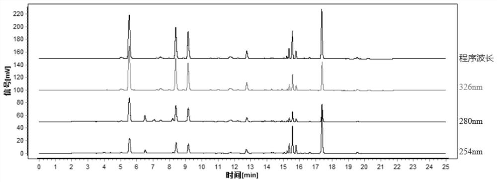 Establishment method and detection method of uplc characteristic map of fresh Houttuynia cordata