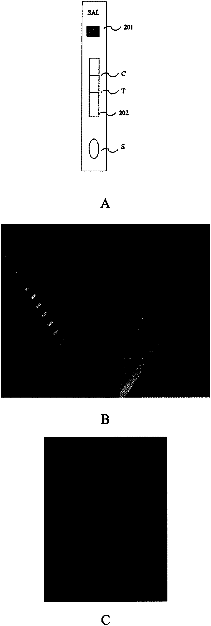 Detection method and detection apparatus of analysis detection test paper data