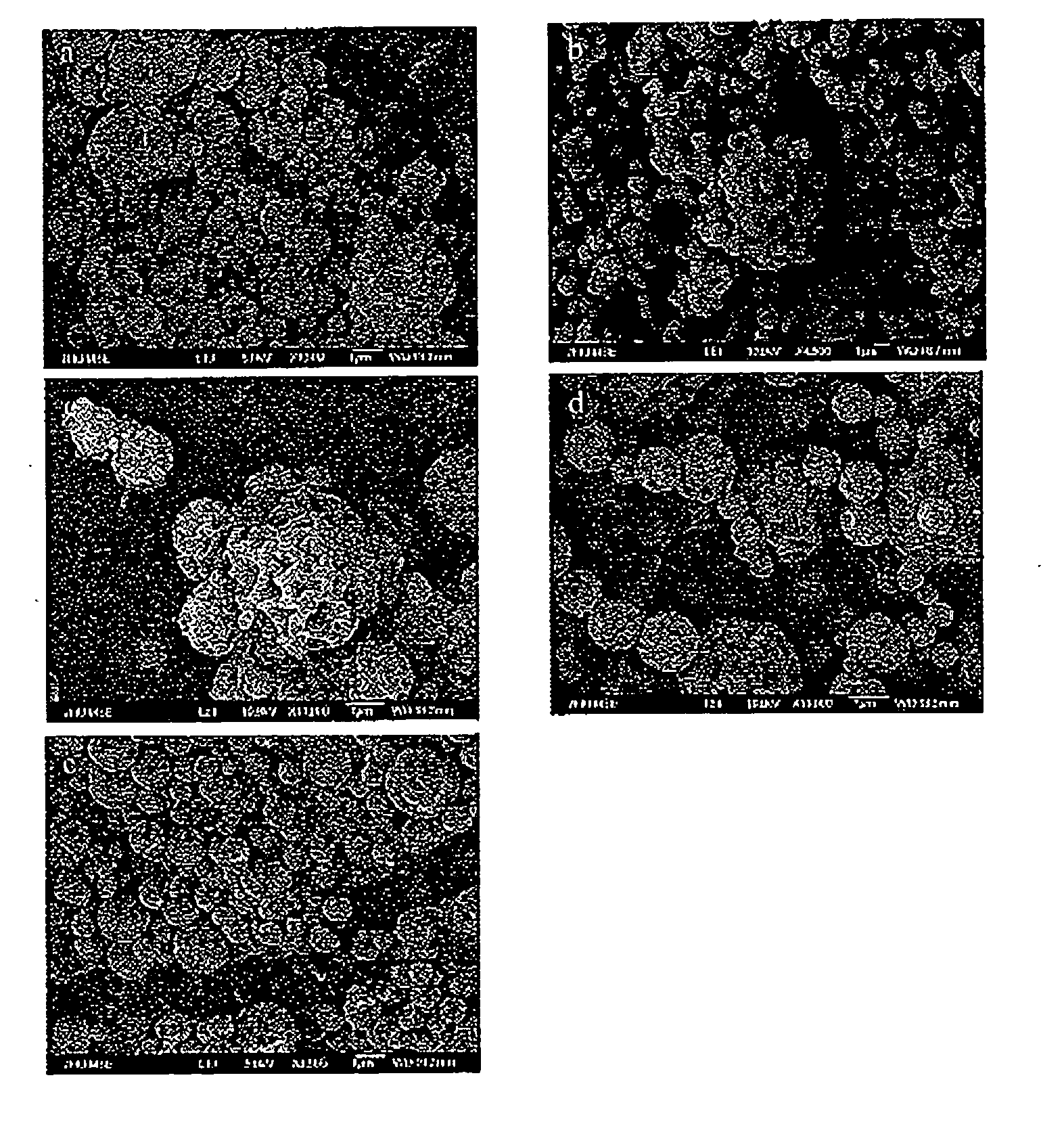 Gallium Formulation For The Treatment And Prevention of Infectious Diseases