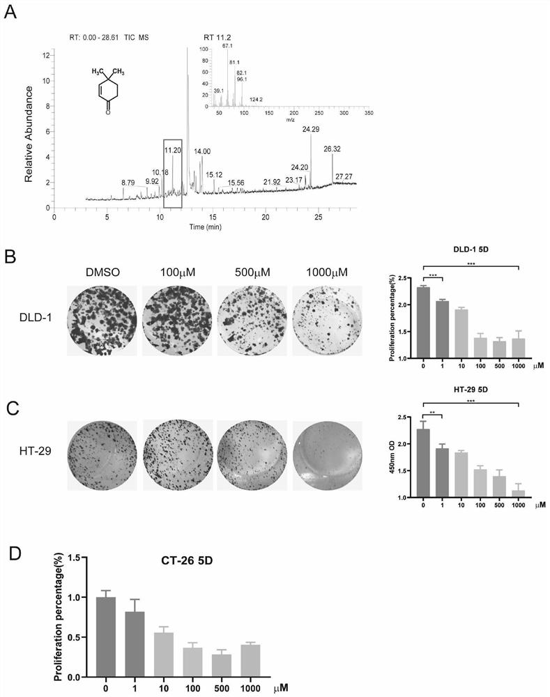 PIN1 protein small-molecule inhibitor and application thereof