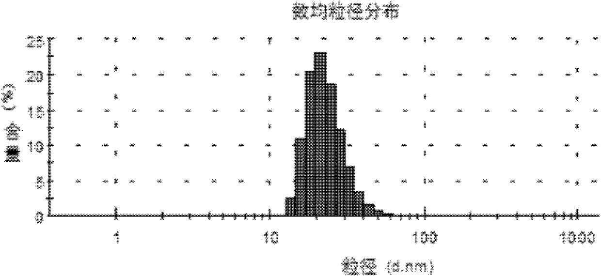 Polymerization fluorescent dye, preparation method and application thereof