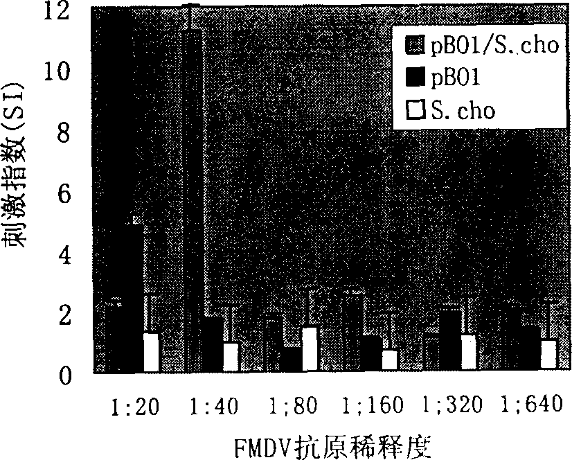 Foot-and-mouth disease virus resistant recombinant live bacteria and its preparation method