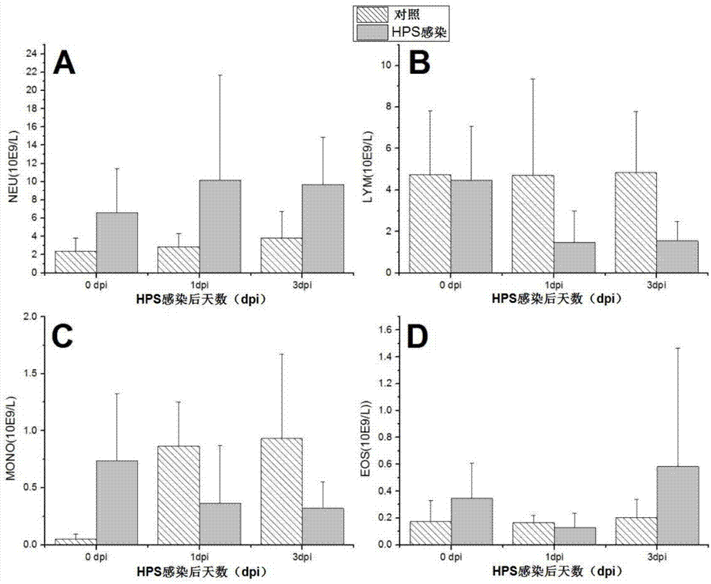 Method for building model of piglets infected by haemophilus parasuis (HPS)