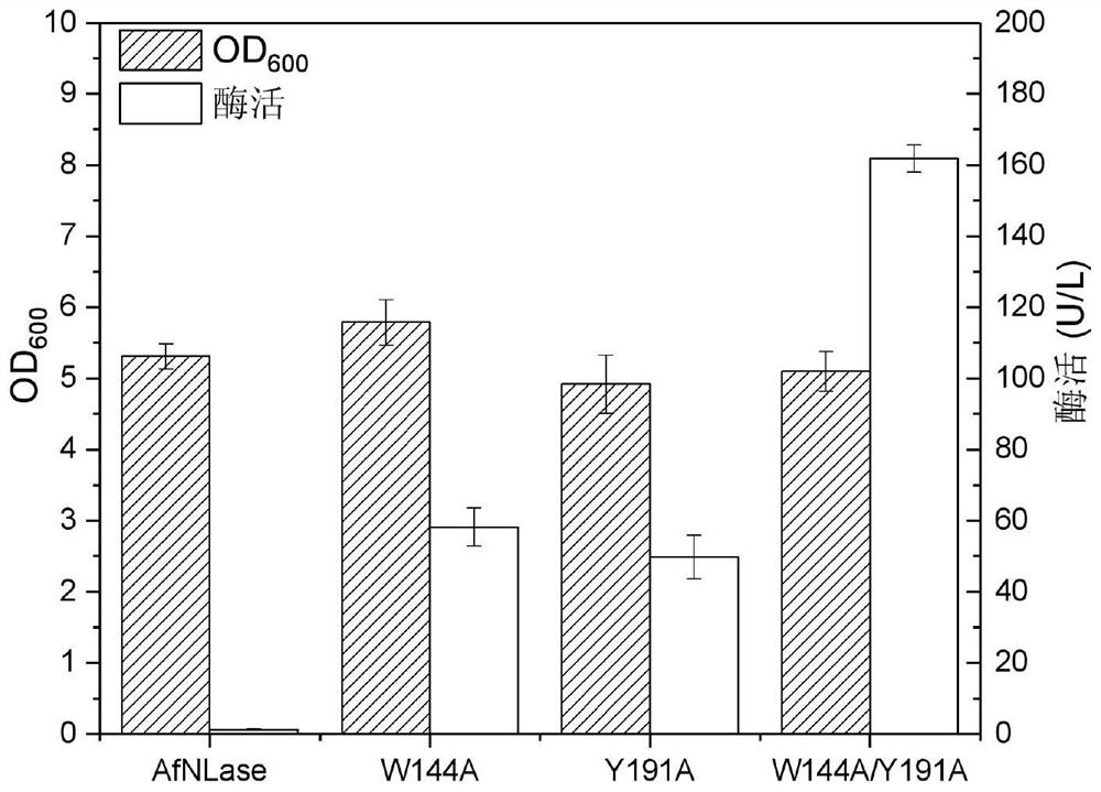 Nitrilase mutant and application thereof in preparation of benzoylformic acid compounds