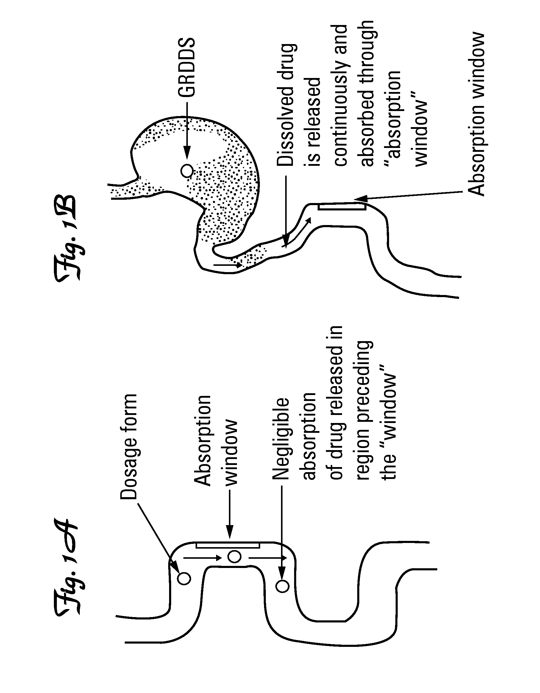 Tolperisone controlled release tablet