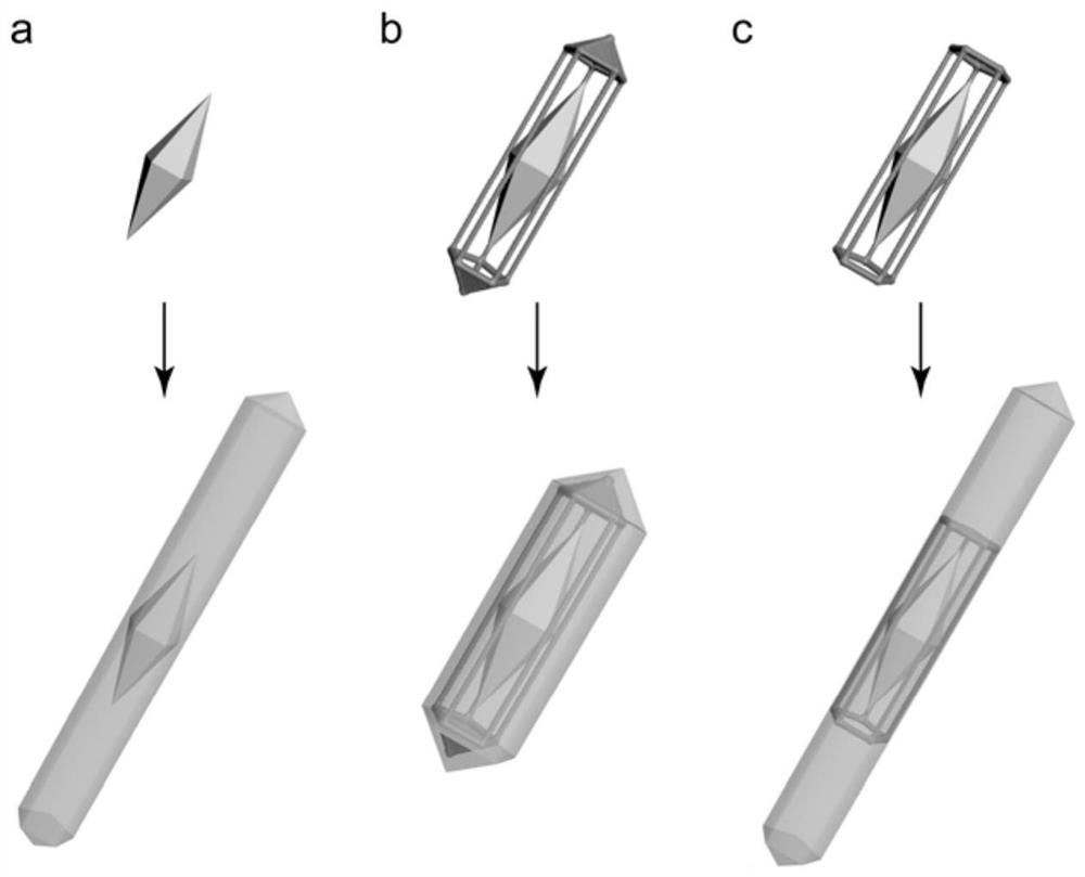 Method for analyzing a growth mechanism of a silver nano structure