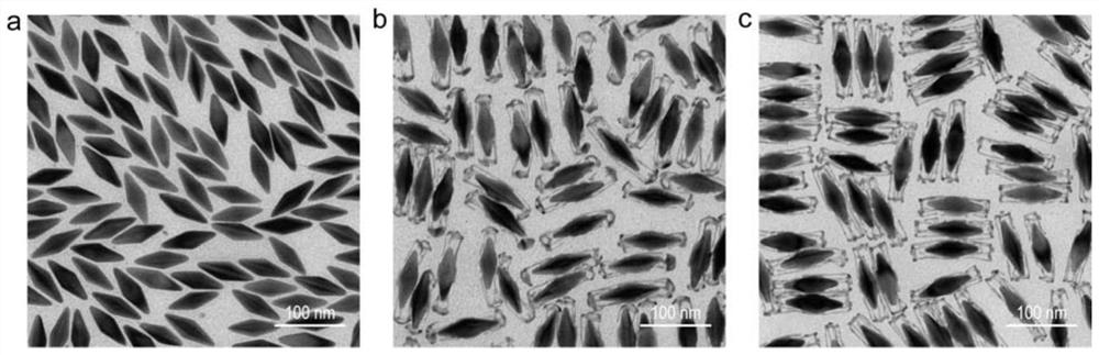 Method for analyzing a growth mechanism of a silver nano structure