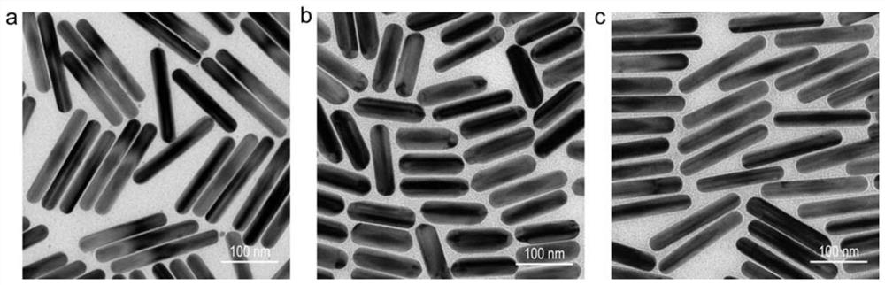 Method for analyzing a growth mechanism of a silver nano structure