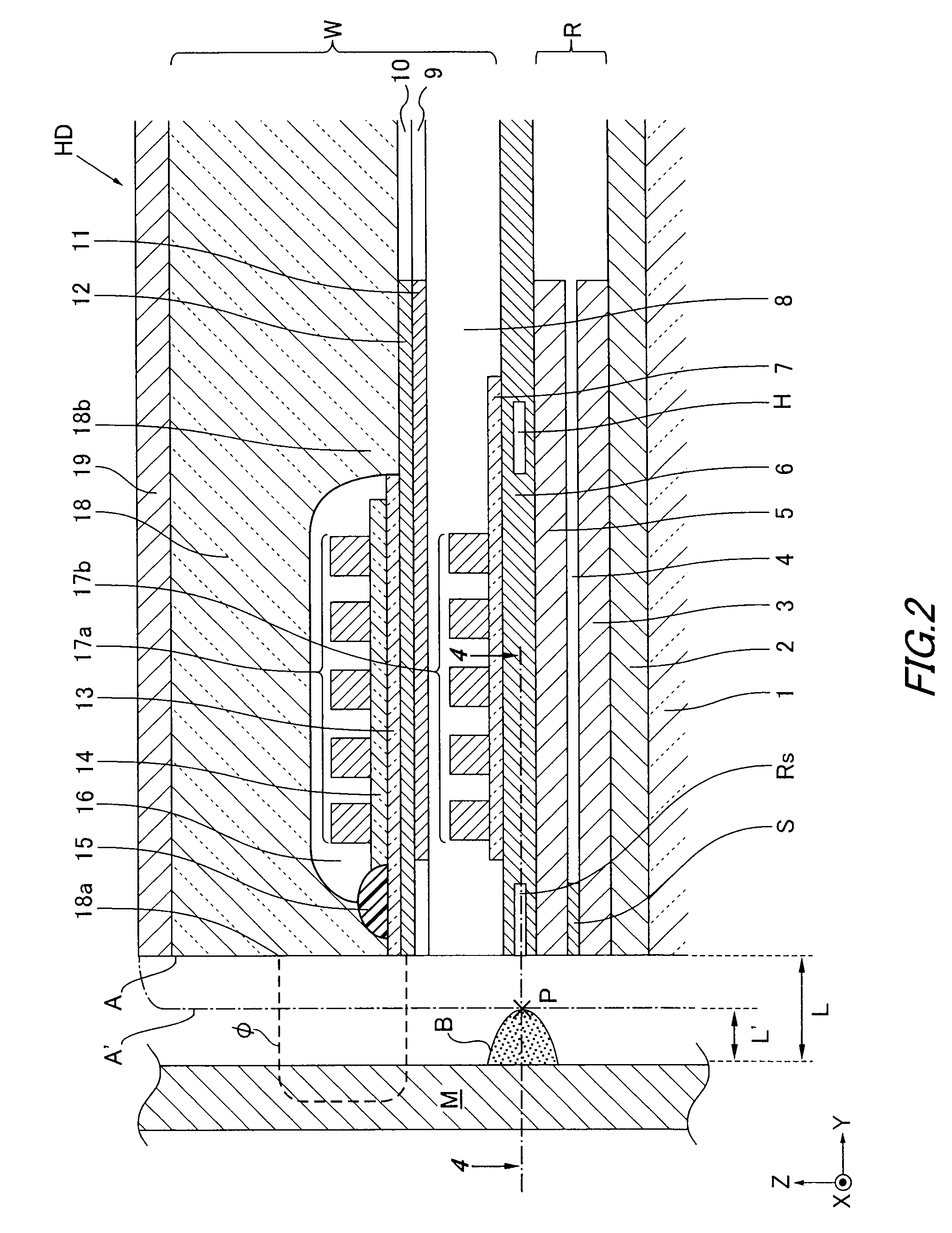 Magnetic head, head assembly and magnetic recording/reproducing apparatus