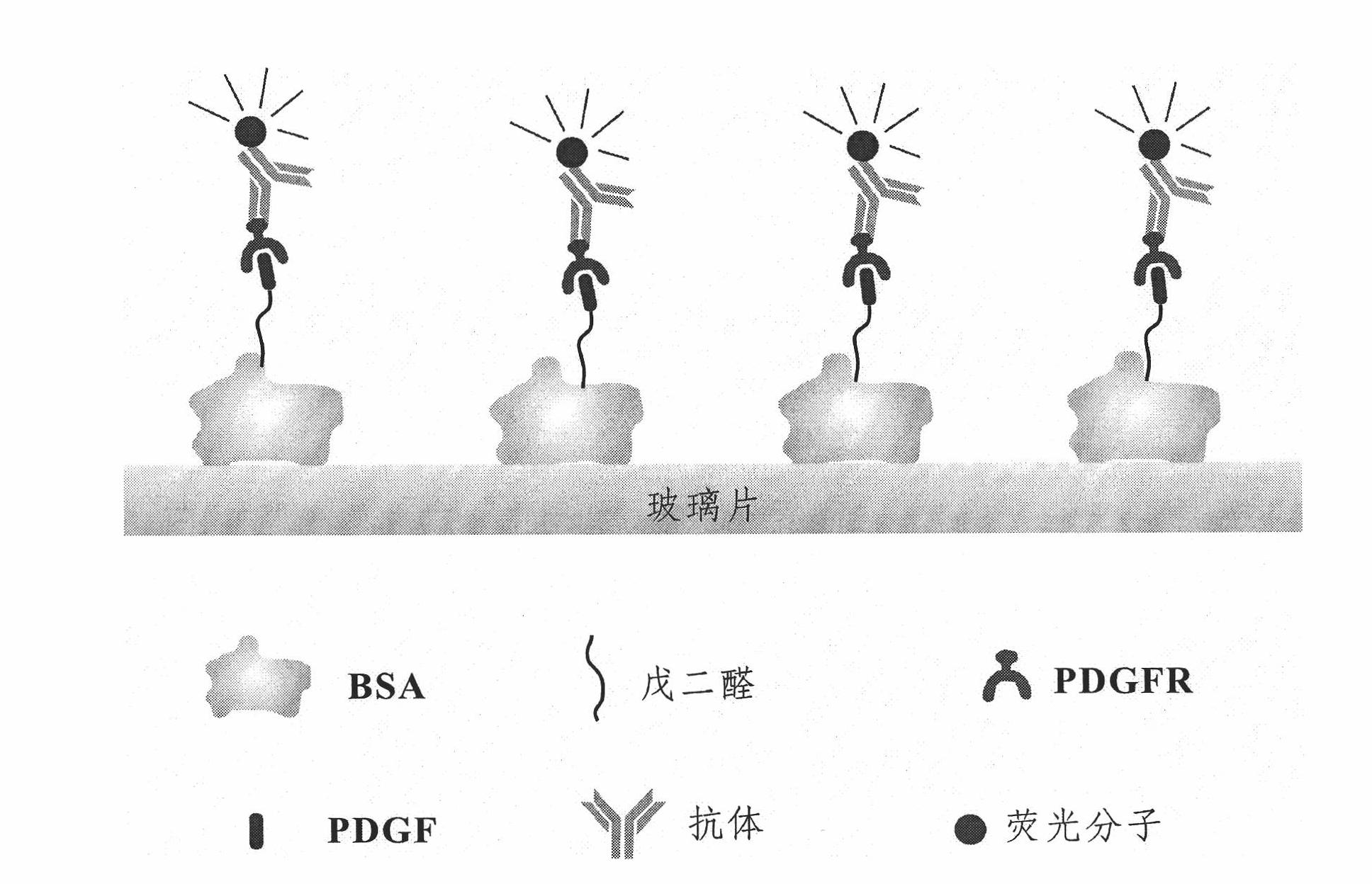 Tumour-associated protein detection method based on monomolecular counting