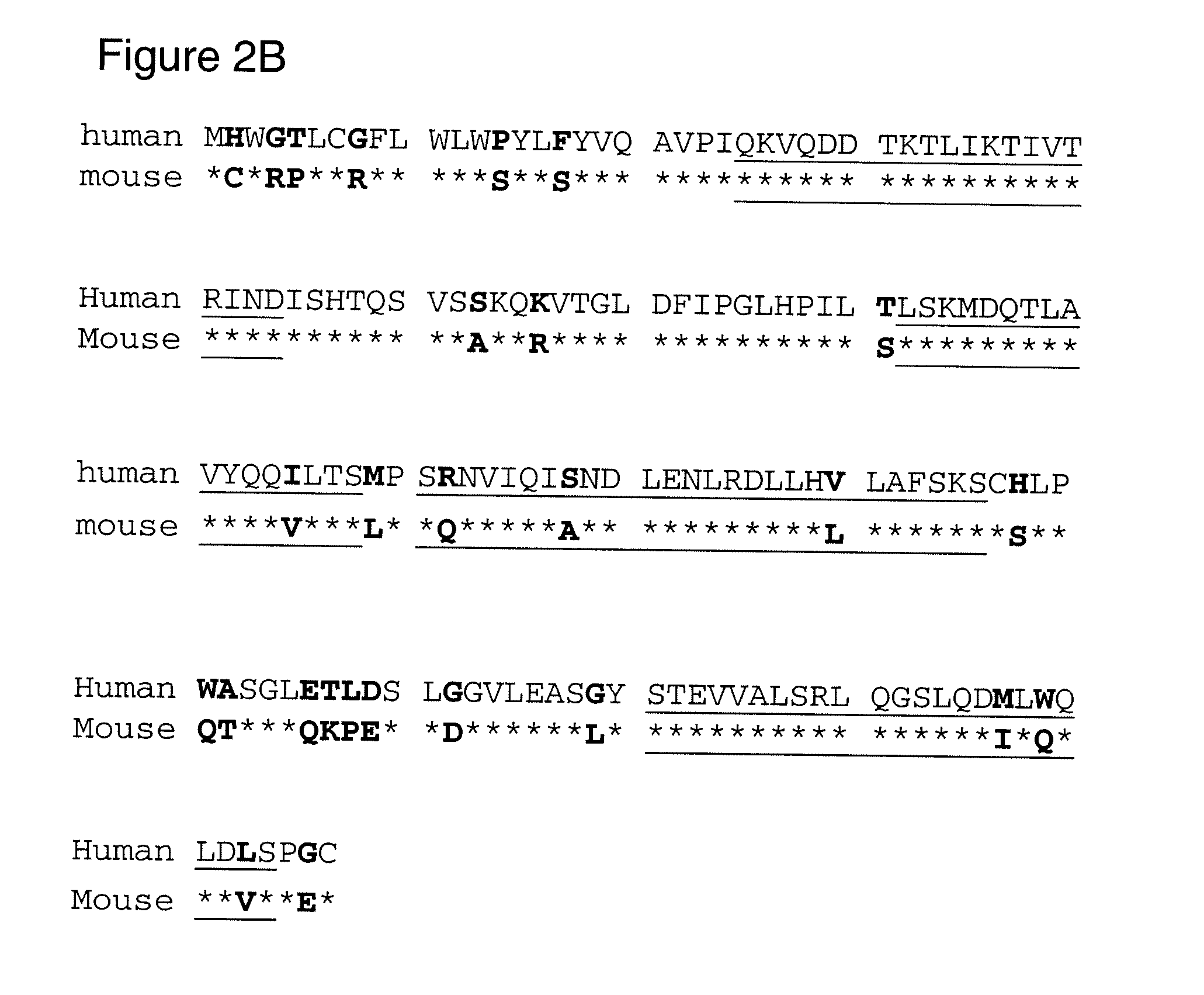 Human leptin-derived polypeptides and uses thereof