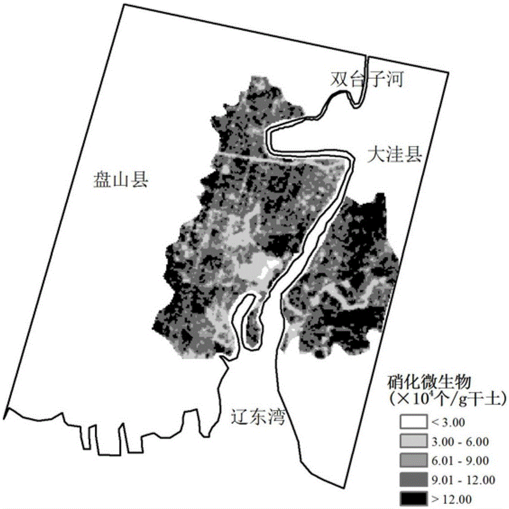 Hyperspectral remote-sensing monitoring method for wetland soil nitrification microbial community