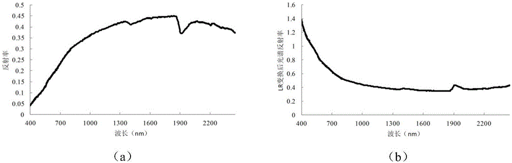 Hyperspectral remote-sensing monitoring method for wetland soil nitrification microbial community