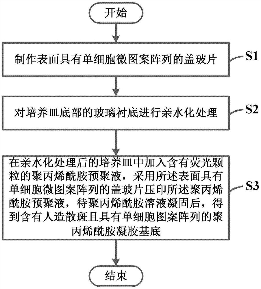 Manufacturing method of polyacrylamide gel substrate with single cell pattern array