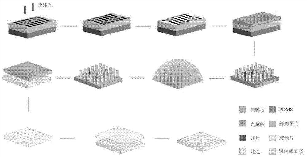 Manufacturing method of polyacrylamide gel substrate with single cell pattern array