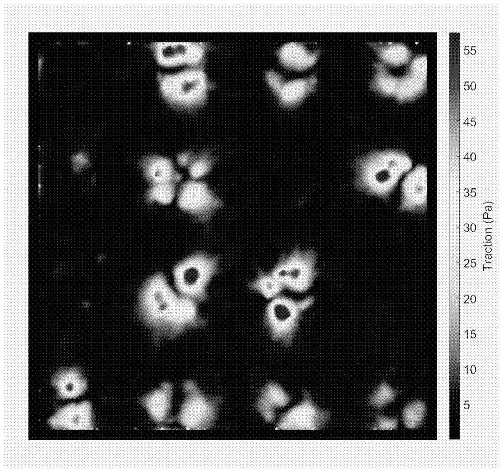 Manufacturing method of polyacrylamide gel substrate with single cell pattern array