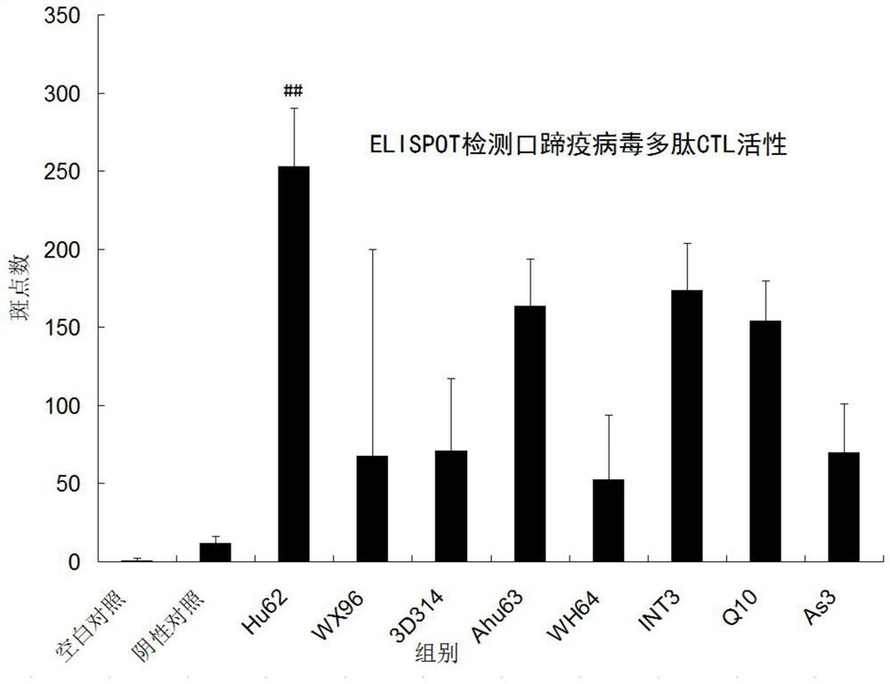 A kind of method for preparing tetramer of O-type foot-and-mouth disease virus polypeptide