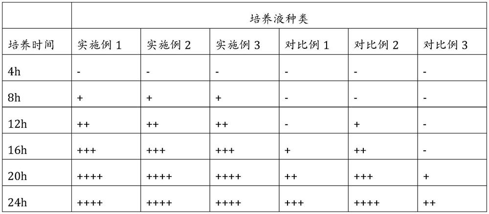 Mycoplasma pneumoniae drug sensitivity rapid detection kit and preparation method thereof