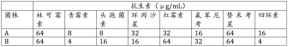 Mycoplasma pneumoniae drug sensitivity rapid detection kit and preparation method thereof