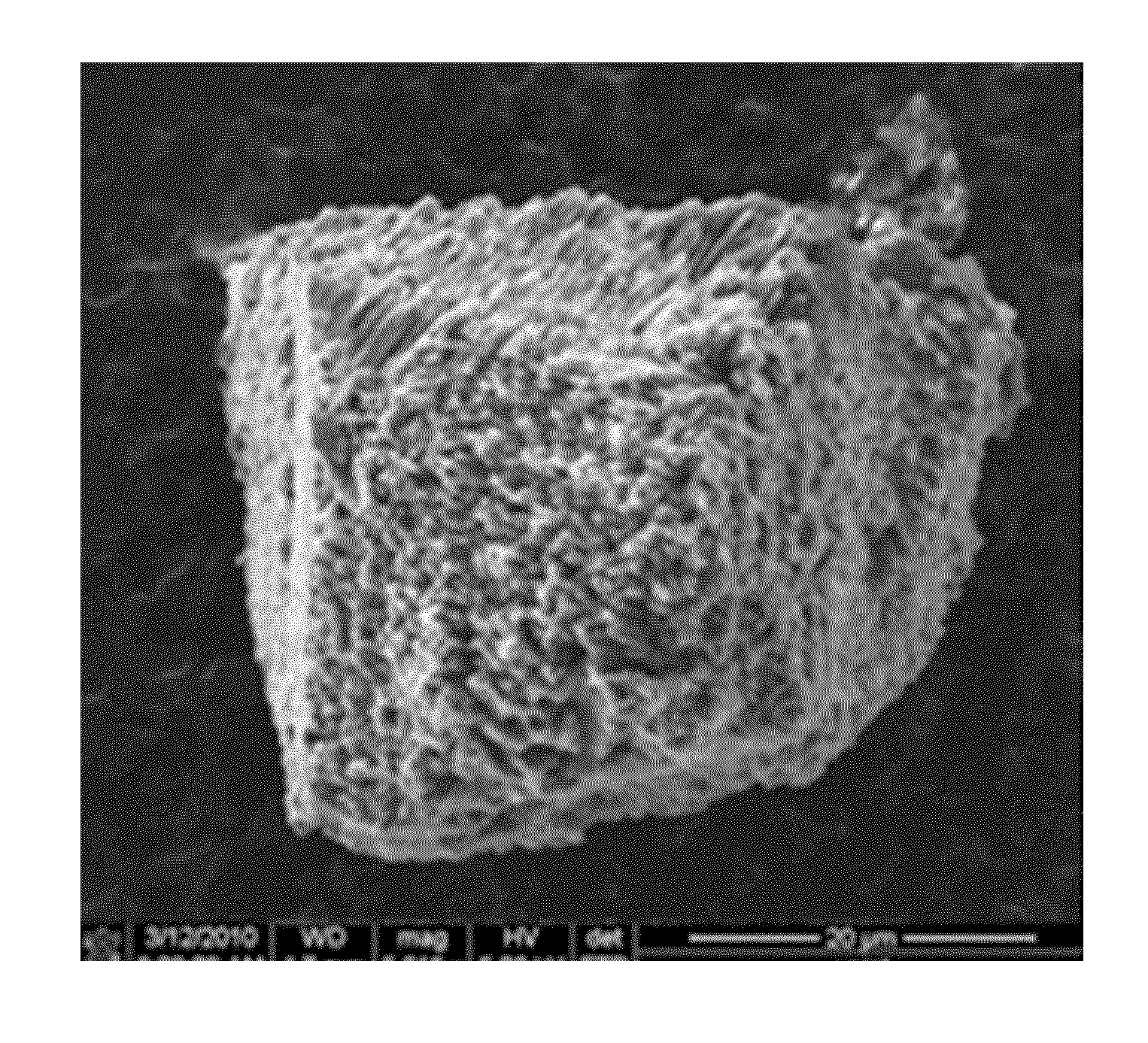 Negative active material for rechargeable lithium battery, method of preparing the same, and rechargeable lithium battery including the same