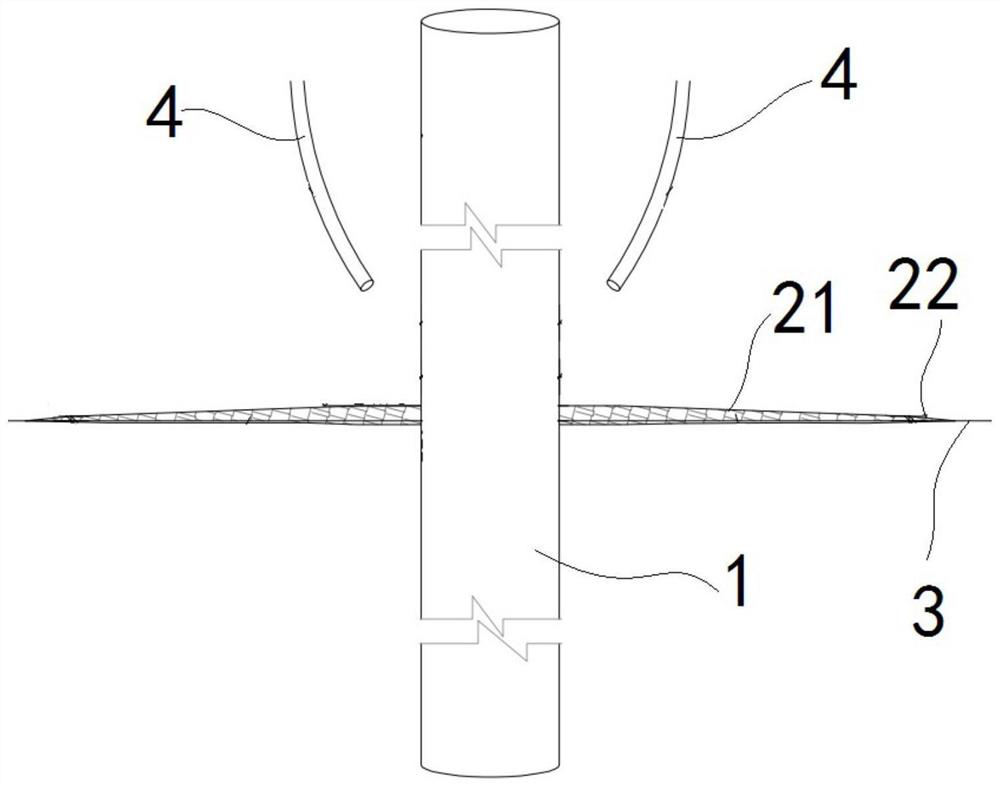 Pile foundation protection structure and protection method