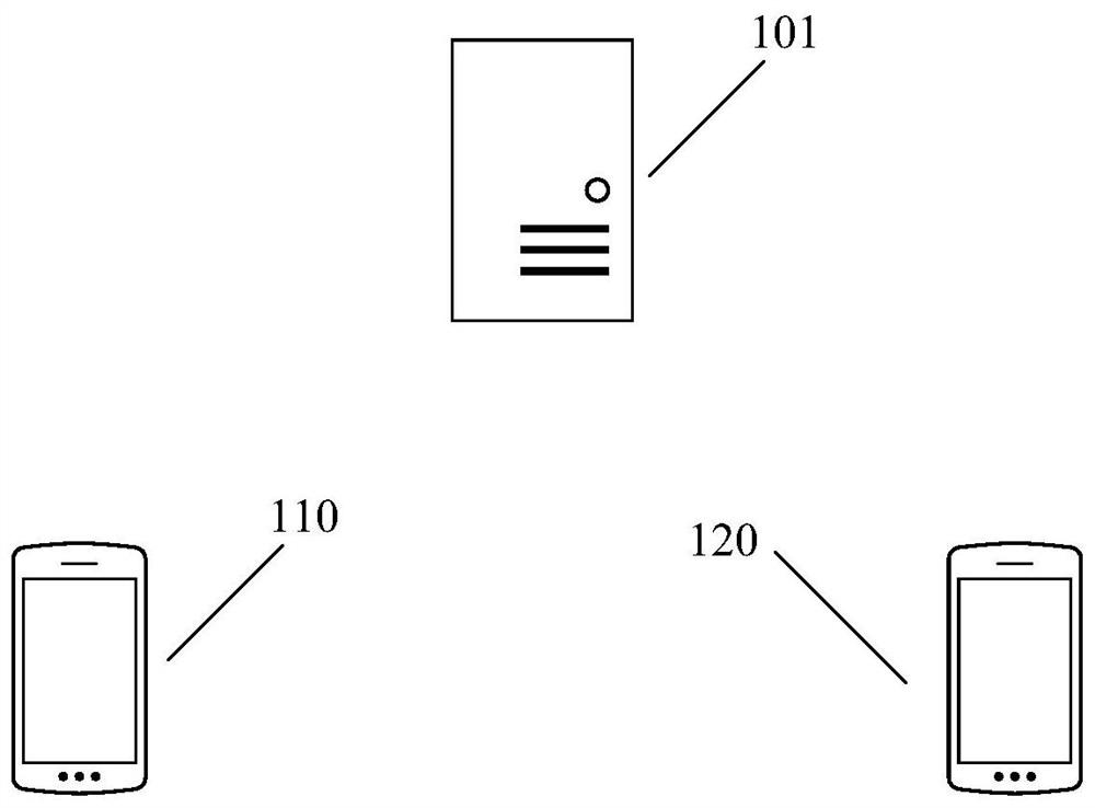 Privacy processing method and device, computer readable storage medium and electronic medium