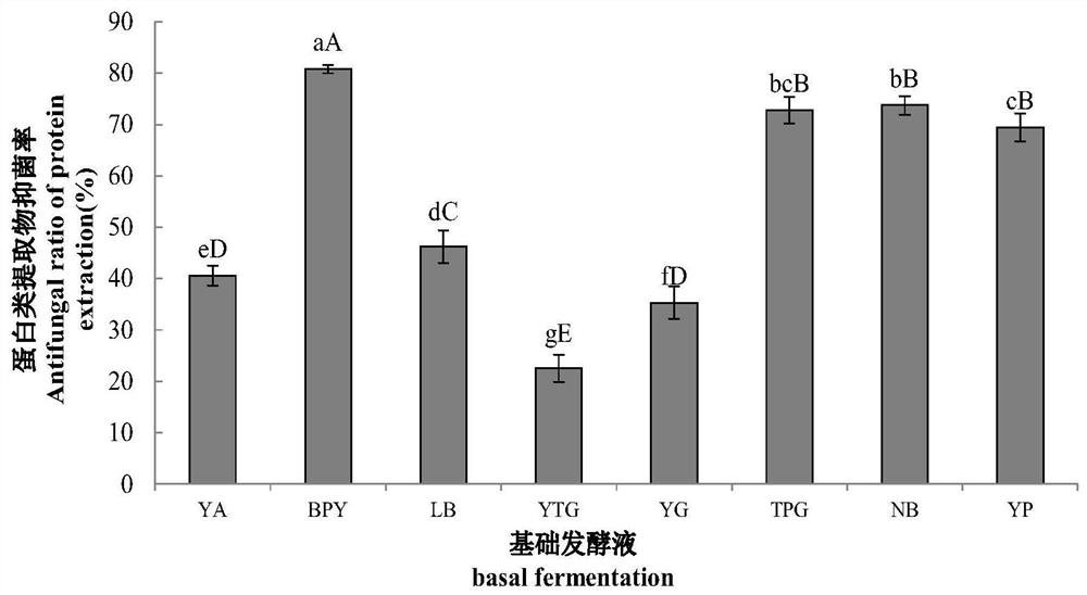 Fermentation liquor for producing extracellular antifungal protein by using Bacillus amyloliquefaciens SZ-60 and fermentation method of fermentation liquor