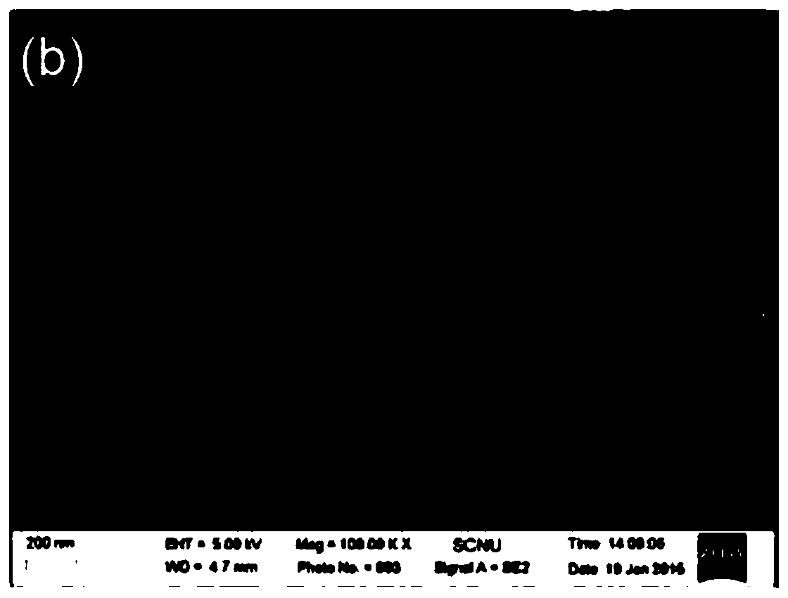 Sensor, preparation method and application thereof, and detection method of 2, 4, 6-trinitrophenol