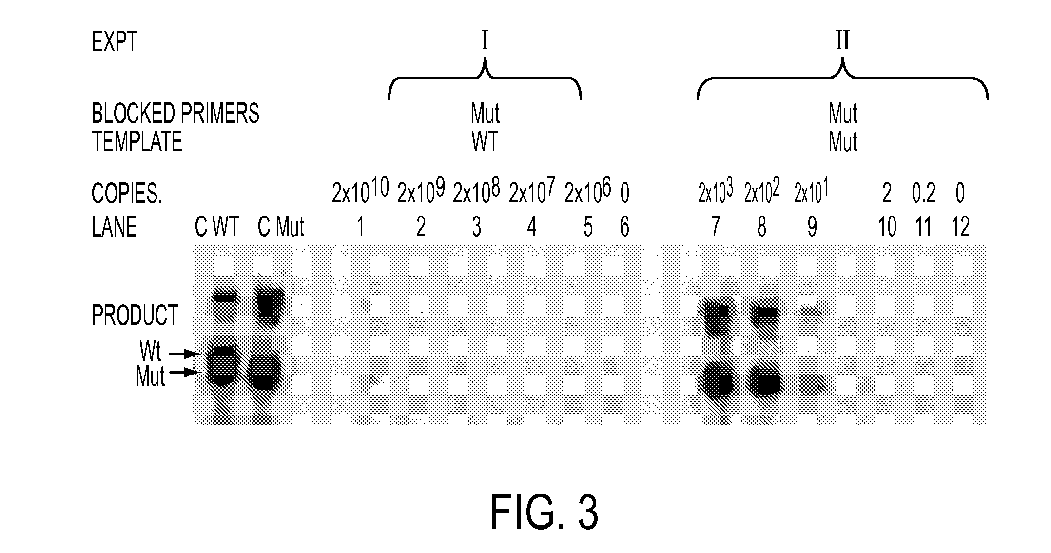 Ultra-high sensitive monitoring of early transplantation failure