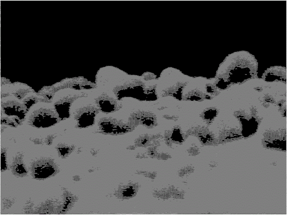 Electrostatic charge image developing toner