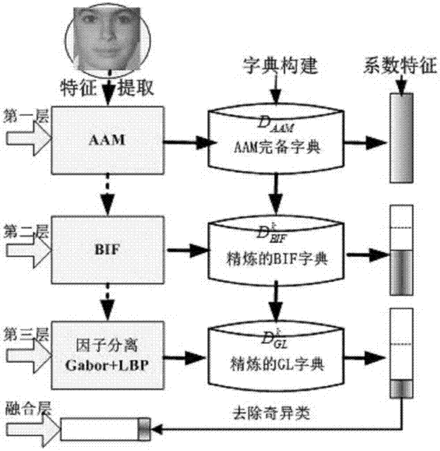 Human face age estimation method based on deep sparse representation