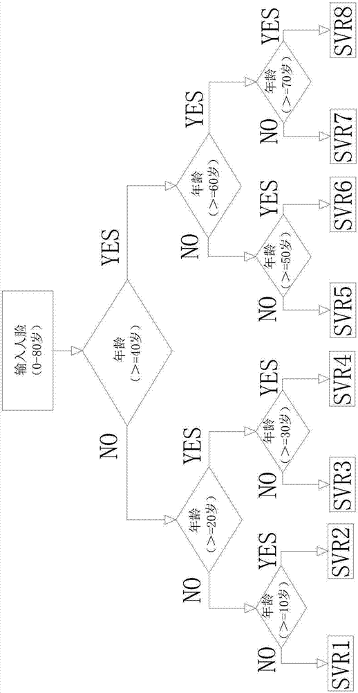 Human face age estimation method based on deep sparse representation