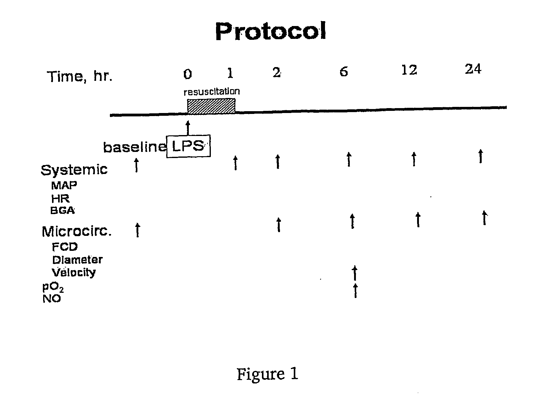 Uses of pegylated albumin