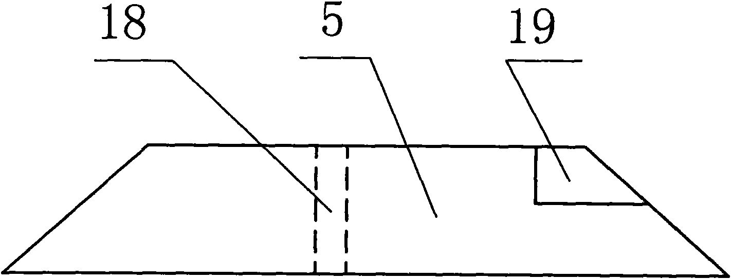 Particle separate device