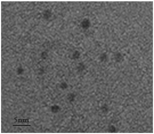 A room temperature phosphorescence detection method and application of lysozyme