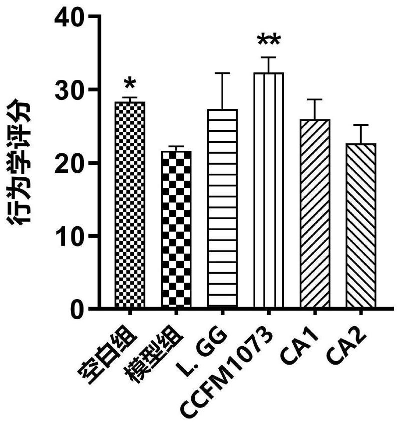 A product for preventing and/or treating atopic dermatitis