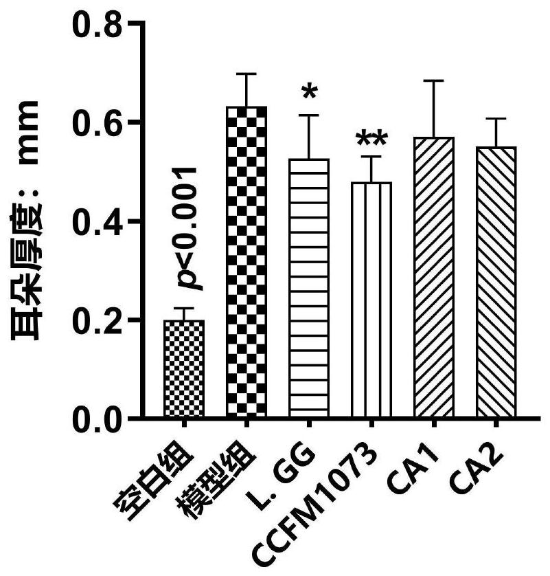 A product for preventing and/or treating atopic dermatitis