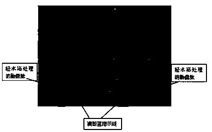 Immune preparation capable of improving immune effect of foot-and-mouth disease vaccine for tibetan sheep and extraction method of immune preparation