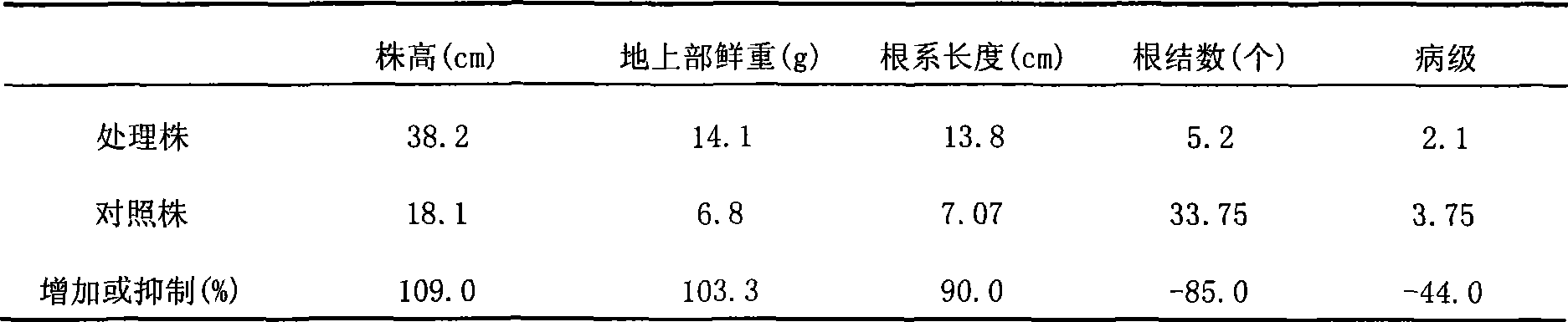 Tea saponin granular formulation for killing nematode and preparation method thereof