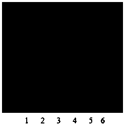 Detection method of Qingke Pingchuan Granules