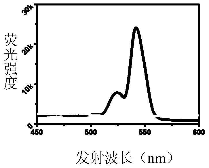 Method of utilizing rare earth up-conversion fluorescent particles to mark sendai virus envelope