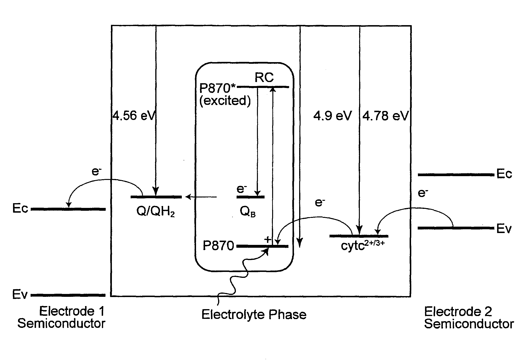 Electrochemical photovoltaic cells