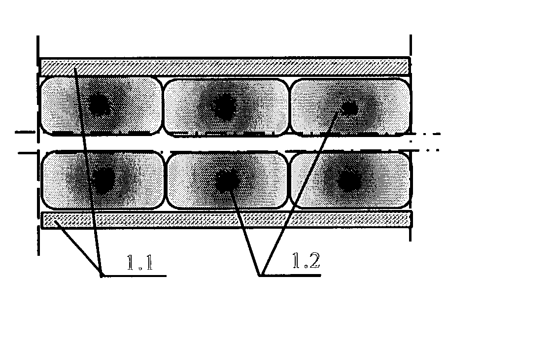 Protective composition and method for manufacture the same