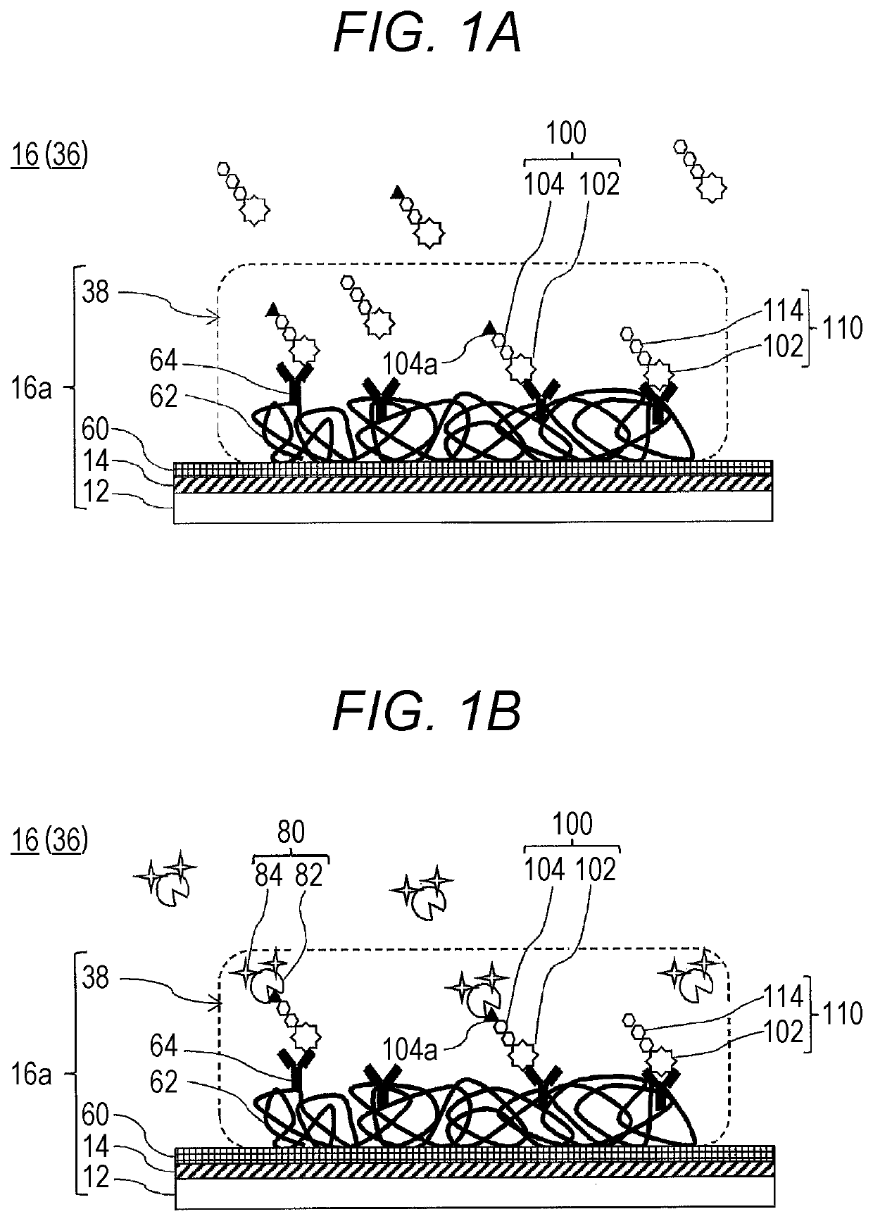 Method for estimating Gleason score of prostate cancer, method for estimating pathological stage, and method for acquiring supplementary information, all on the basis of specific PSA content in specimen