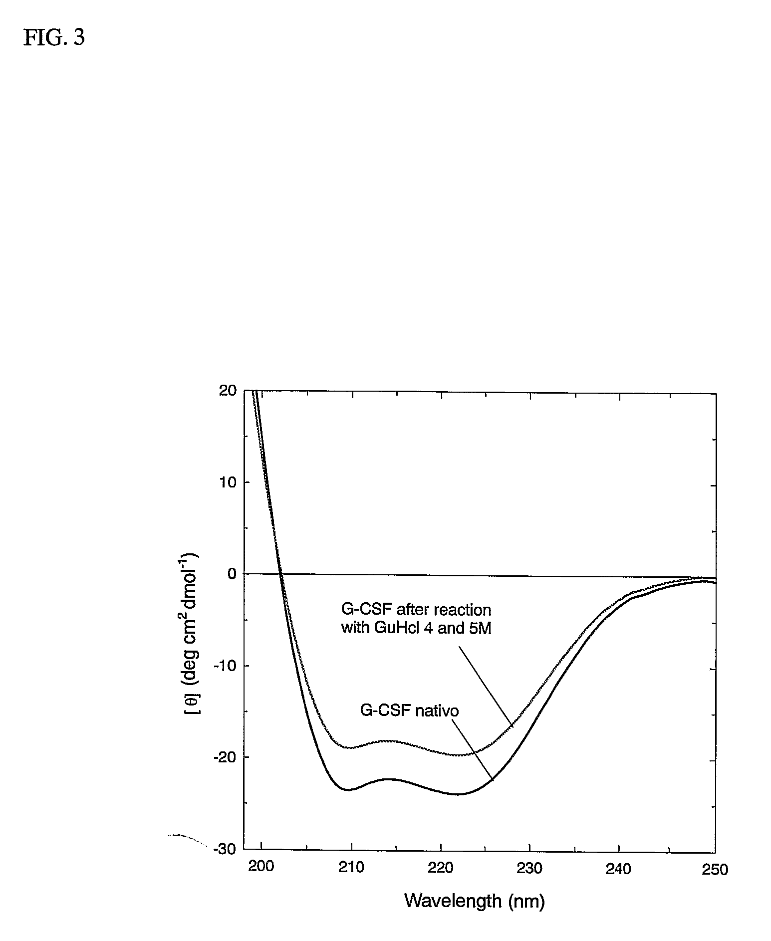 Novel g-csf conjugates