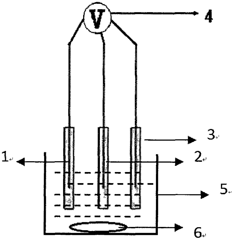 An Alloy Electrode Electrochemical Sensor for Detecting Trace Heavy Metals