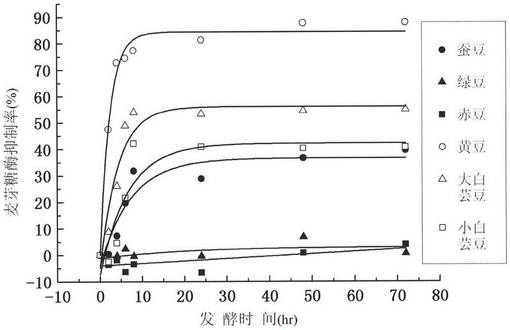 Fermented bean product fermented by lactobacillus plantarum ST-III and alpha-glucosidase inhibitor